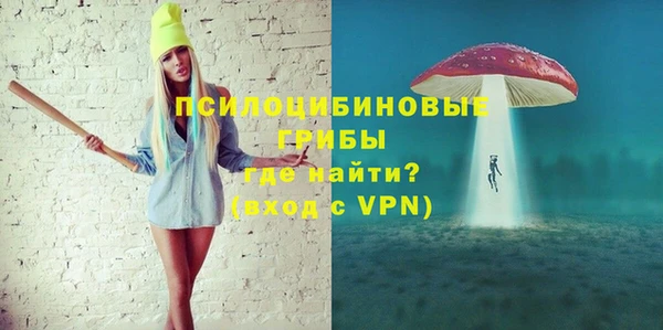 ГАЛЛЮЦИНОГЕННЫЕ ГРИБЫ Алексеевка