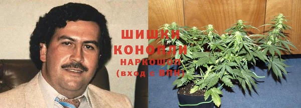 гидра Абаза