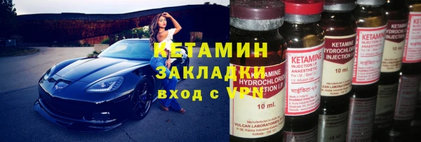 гидра Абаза