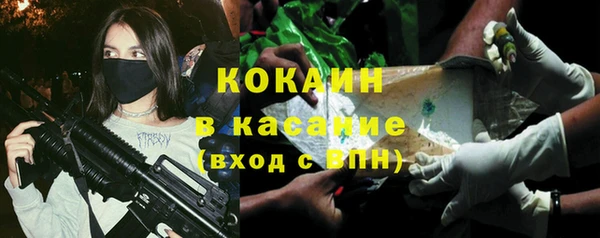 гидра Абаза