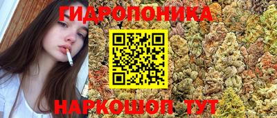 mdpv Тверь