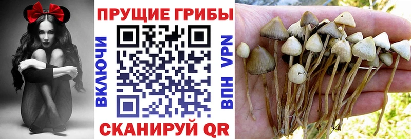 Псилоцибиновые грибы мухоморы Севастополь