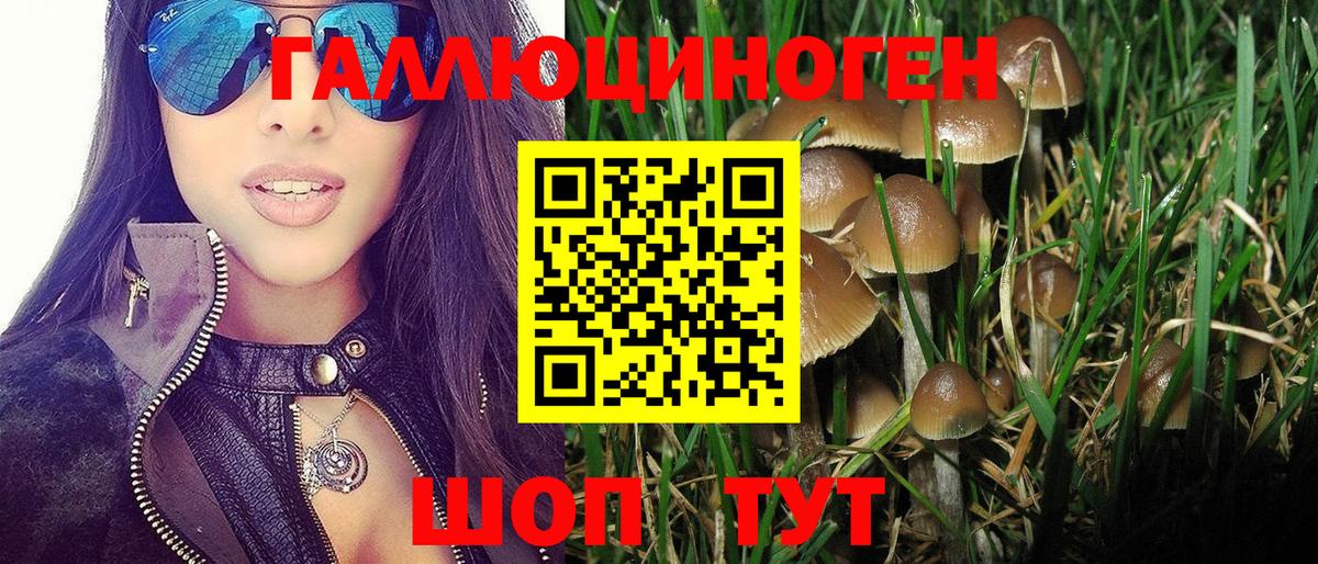 Псилоцибиновые грибы мицелий Севастополь