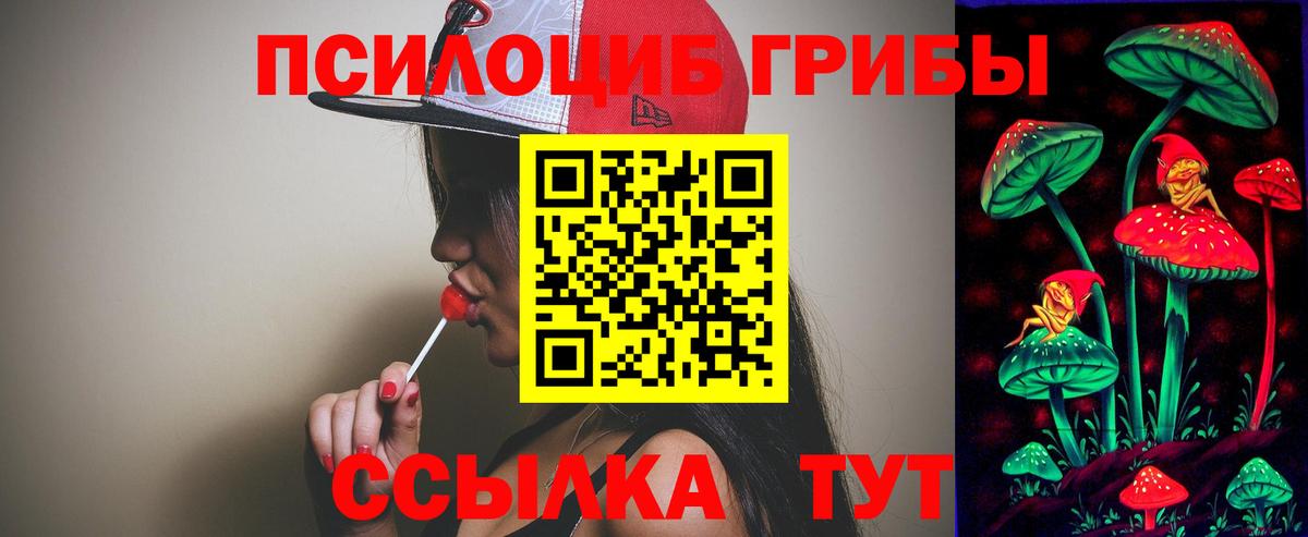 Севастополь  Галлюциногенные грибы мицелий  Вход с VPN 